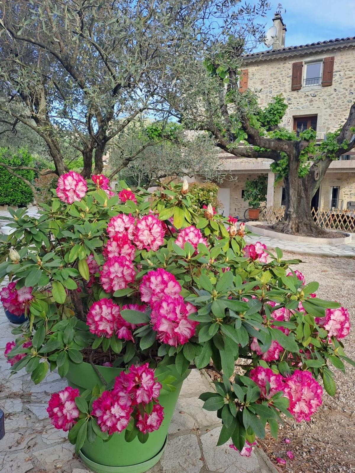 Appartement Les Magnolias à Aubenas Extérieur photo